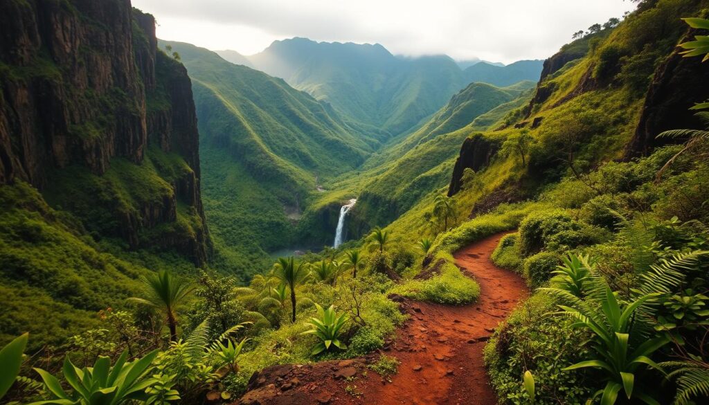 Molokai hiking trail